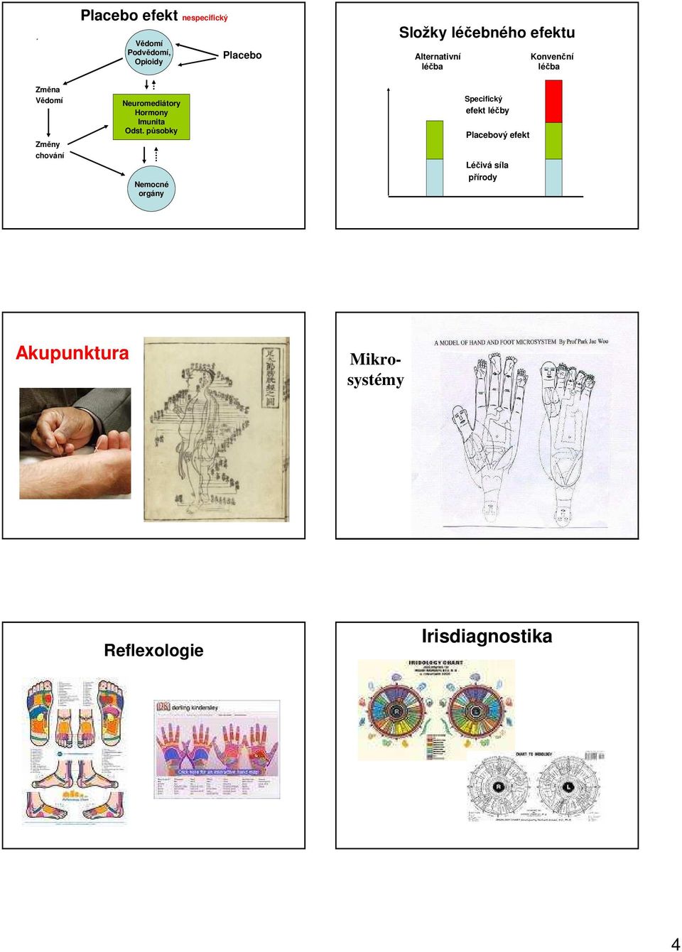 Neuromediátory Hormony Imunita Odst.