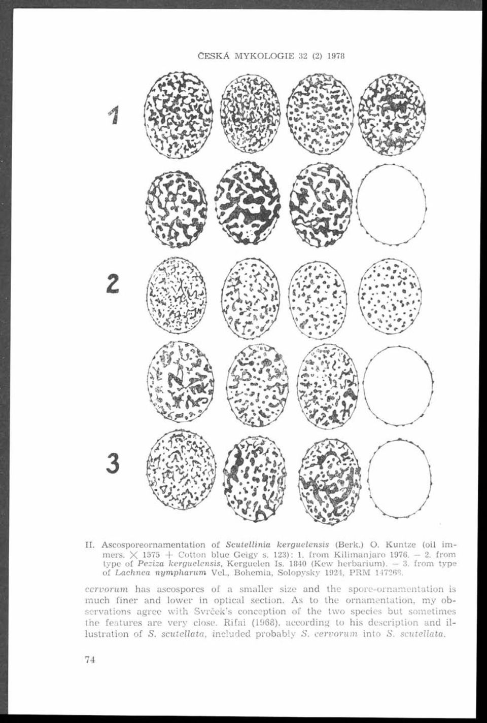 from type of Peziza kerguelensis, K erguelen Is. 1840 (K ew h erb ariu m ). 3. from type of Lachnea n ym p h a ru m Vel., B ohem ia, Solopysky 1924, PRM 14726".