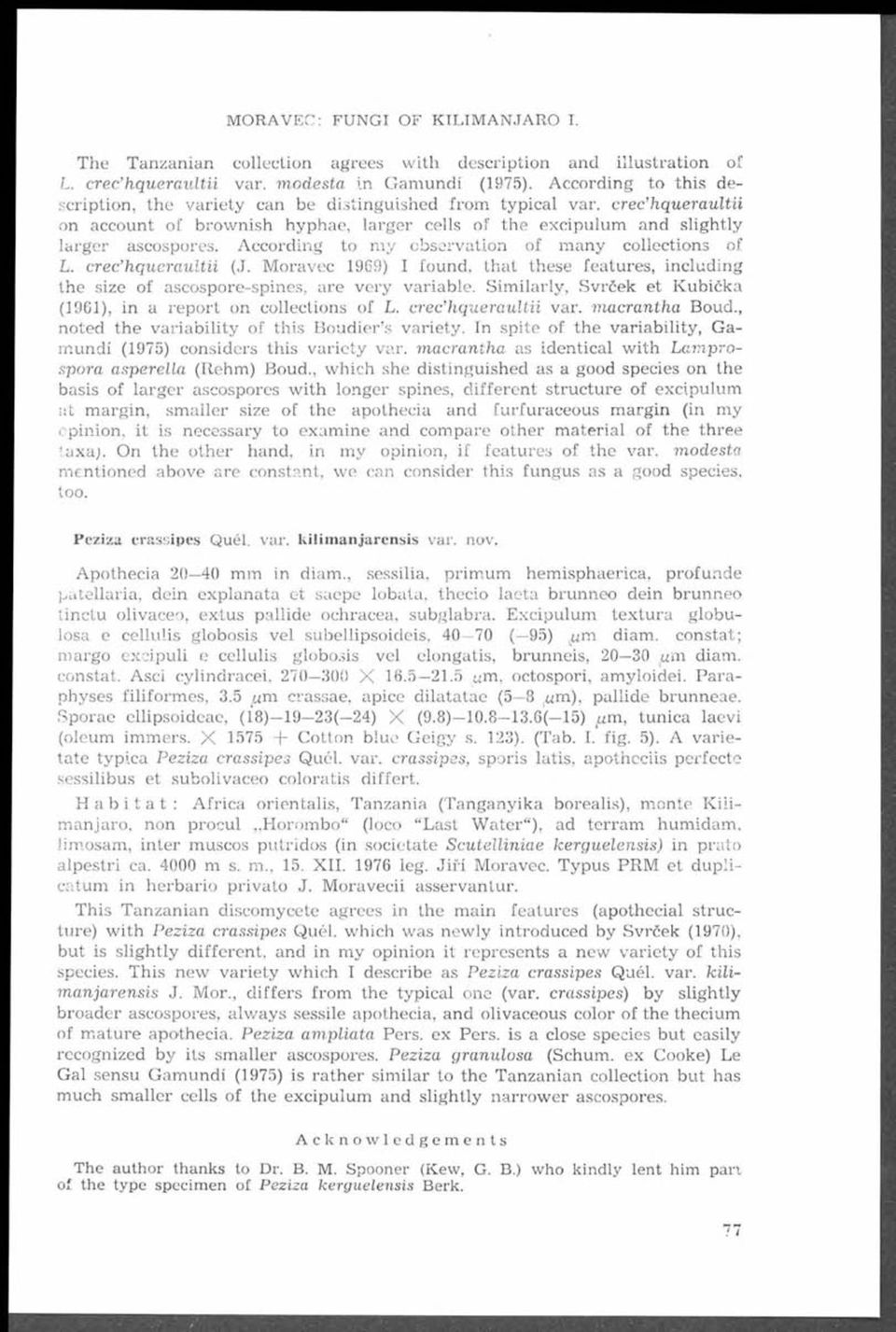 According to m y observation of m any collections of L. crec hqueraultii (J. M oravec 1969) I found, th a t these features, including the size of ascospore-spines, are very variable.