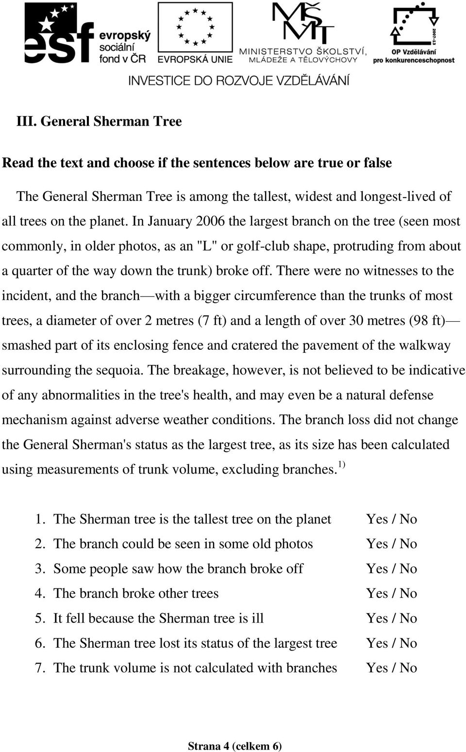 There were no witnesses to the incident, and the branch with a bigger circumference than the trunks of most trees, a diameter of over 2 metres (7 ft) and a length of over 30 metres (98 ft) smashed