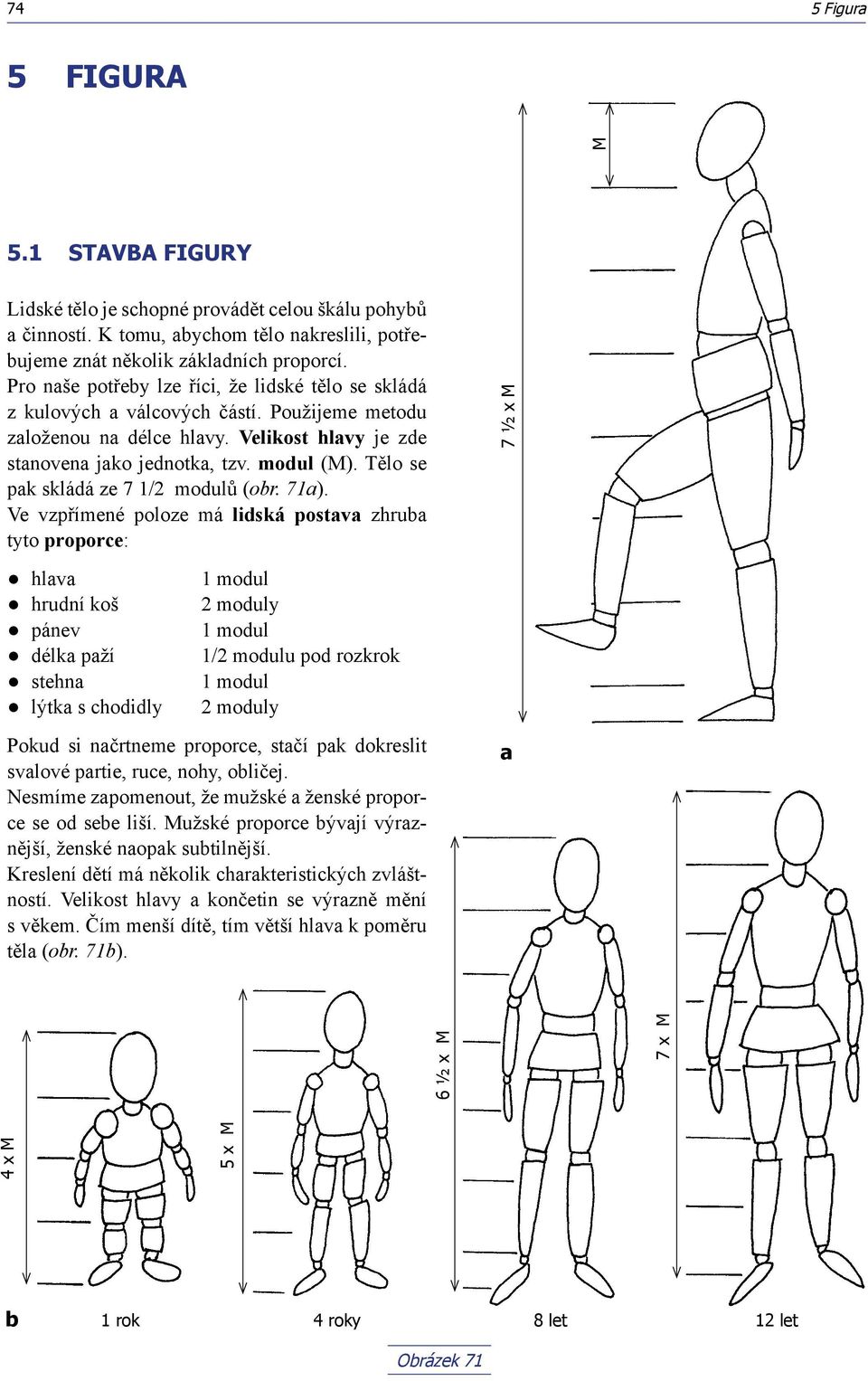 Tělo se pak skládá ze 7 1/2 modulů (obr. 71a).