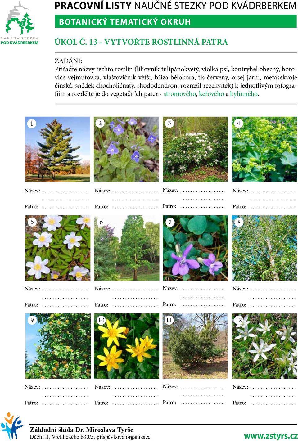 vlaštovičník větší, bříza bělokorá, tis červený, orsej jarní, metasekvoje čínská, snědek chocholičnatý, rhododendron, rozrazil rezekvítek) k