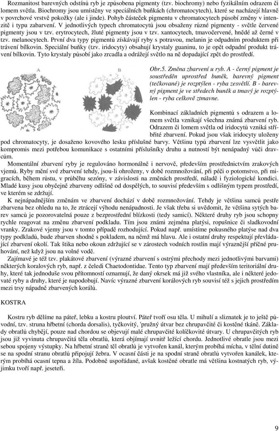 Pohyb částeček pigmentu v chromatocytech působí změny v intenzitě i typu zabarvení. V jednotlivých typech chromatocytů jsou obsaženy různé pigmenty - světle červené pigmenty jsou v tzv.