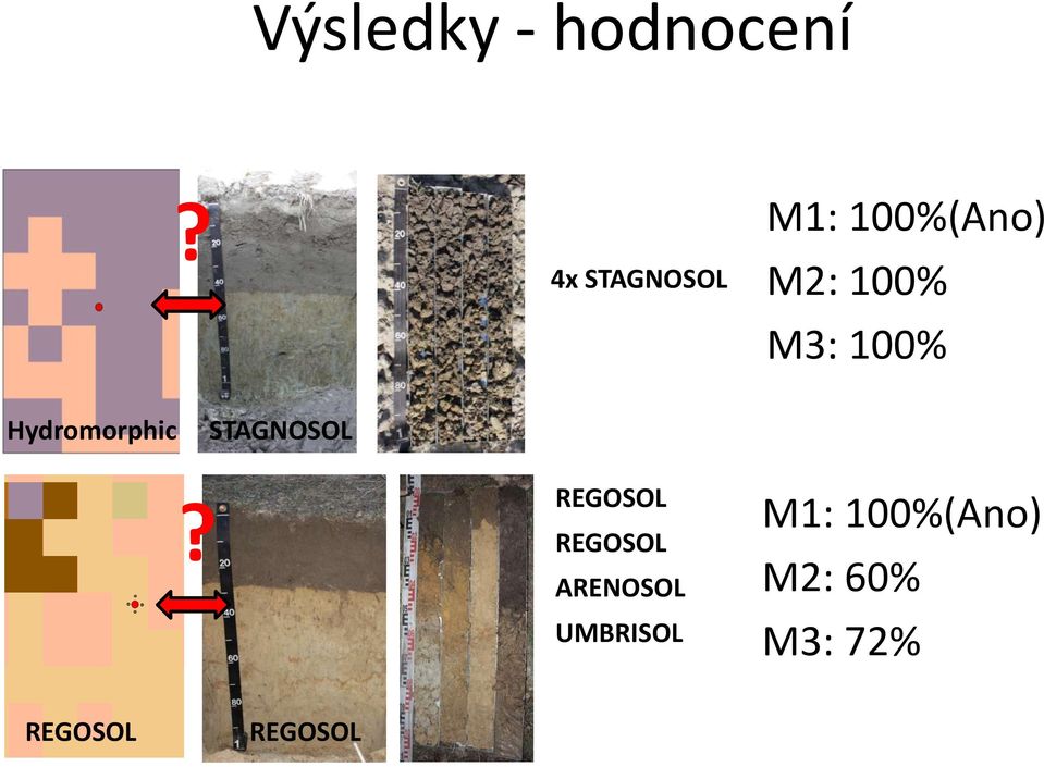 100% Hydromorphic STAGNOSOL?