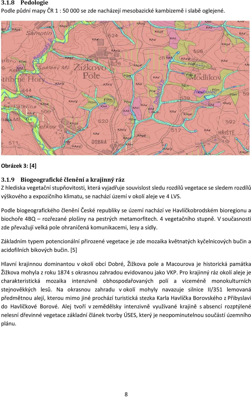 Podle biogeografického členění České republiky se území nachází ve Havlíčkobrodském bioregionu a biochoře 4BQ rozřezané plošiny na pestrých metamorfitech. 4 vegetačního stupně.