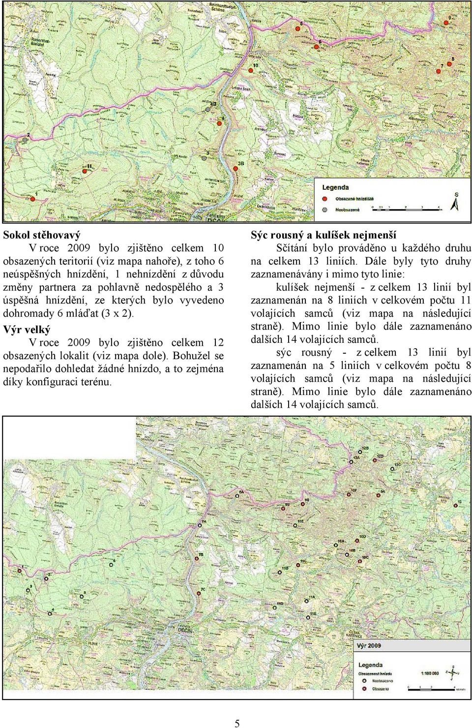 Bohužel se nepodařilo dohledat žádné hnízdo, a to zejména díky konfiguraci terénu. Sýc rousný a kulíšek nejmenší Sčítání bylo prováděno u každého druhu na celkem 13 liniích.