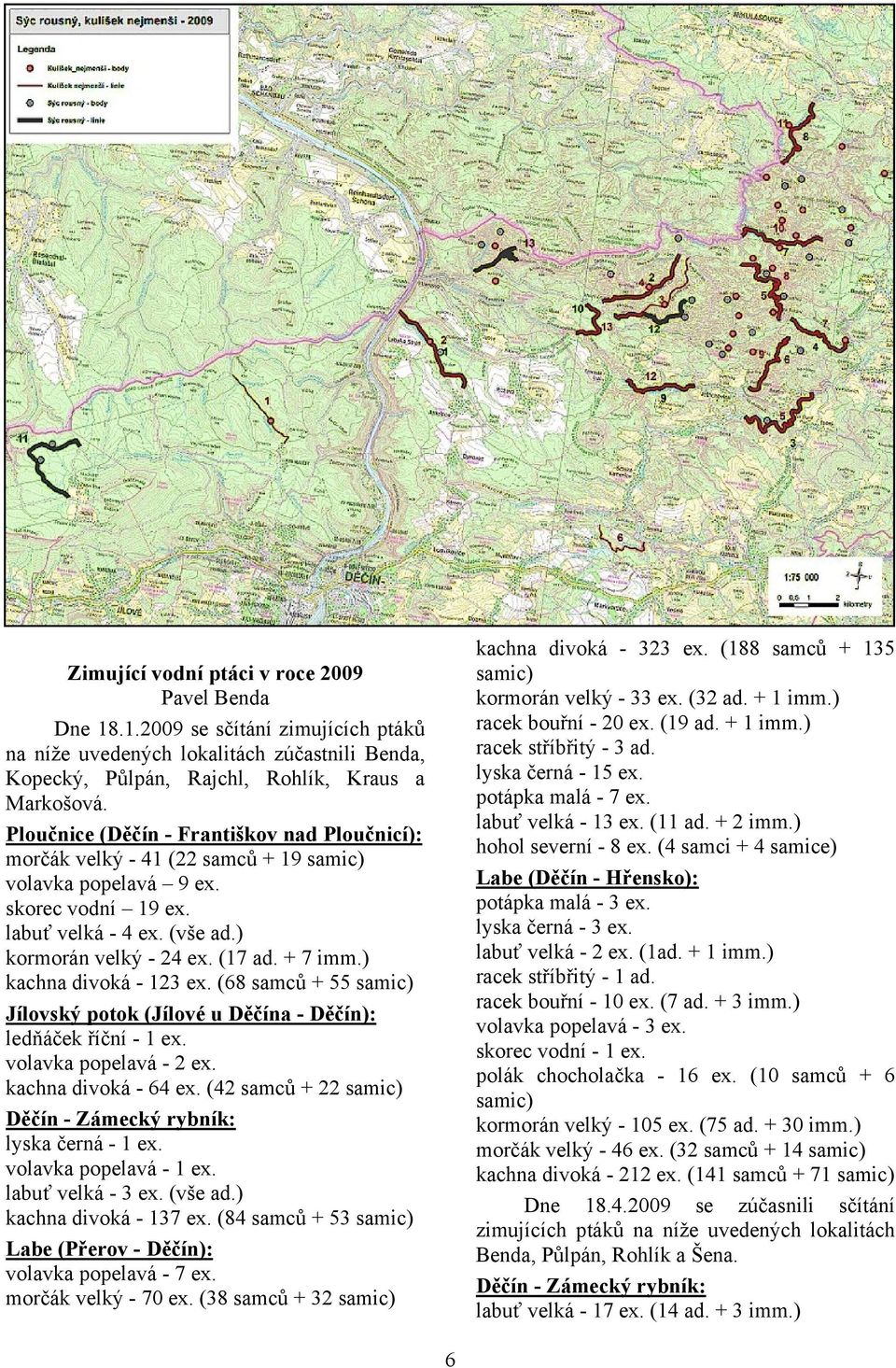 ) kachna divoká - 123 ex. (68 samců + 55 samic) Jílovský potok (Jílové u Děčína - Děčín): ledňáček říční - 1 ex. volavka popelavá - 2 ex. kachna divoká - 64 ex.