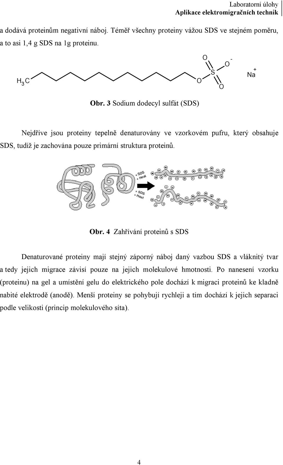 4 Zahřívání proteinů s SDS Denaturované proteiny mají stejný záporný náboj daný vazbou SDS a vláknitý tvar a tedy jejich migrace závisí pouze na jejich molekulové hmotnosti.