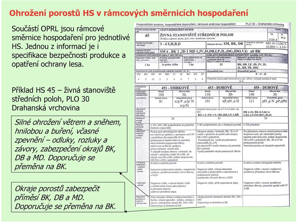 Příklad HS 45 živná stanoviště středních poloh, PLO 30 Drahanská vrchovina Silné ohrožení větrem a sněhem, hnilobou a buření,