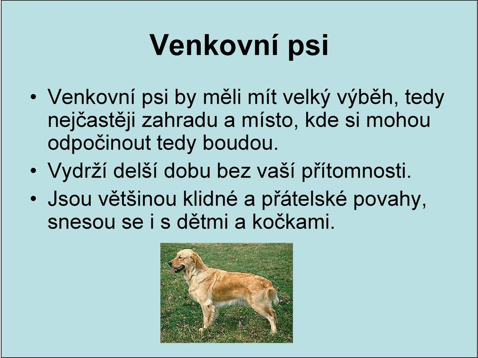 Vydrží delší dobu bez vaší přítomnosti.