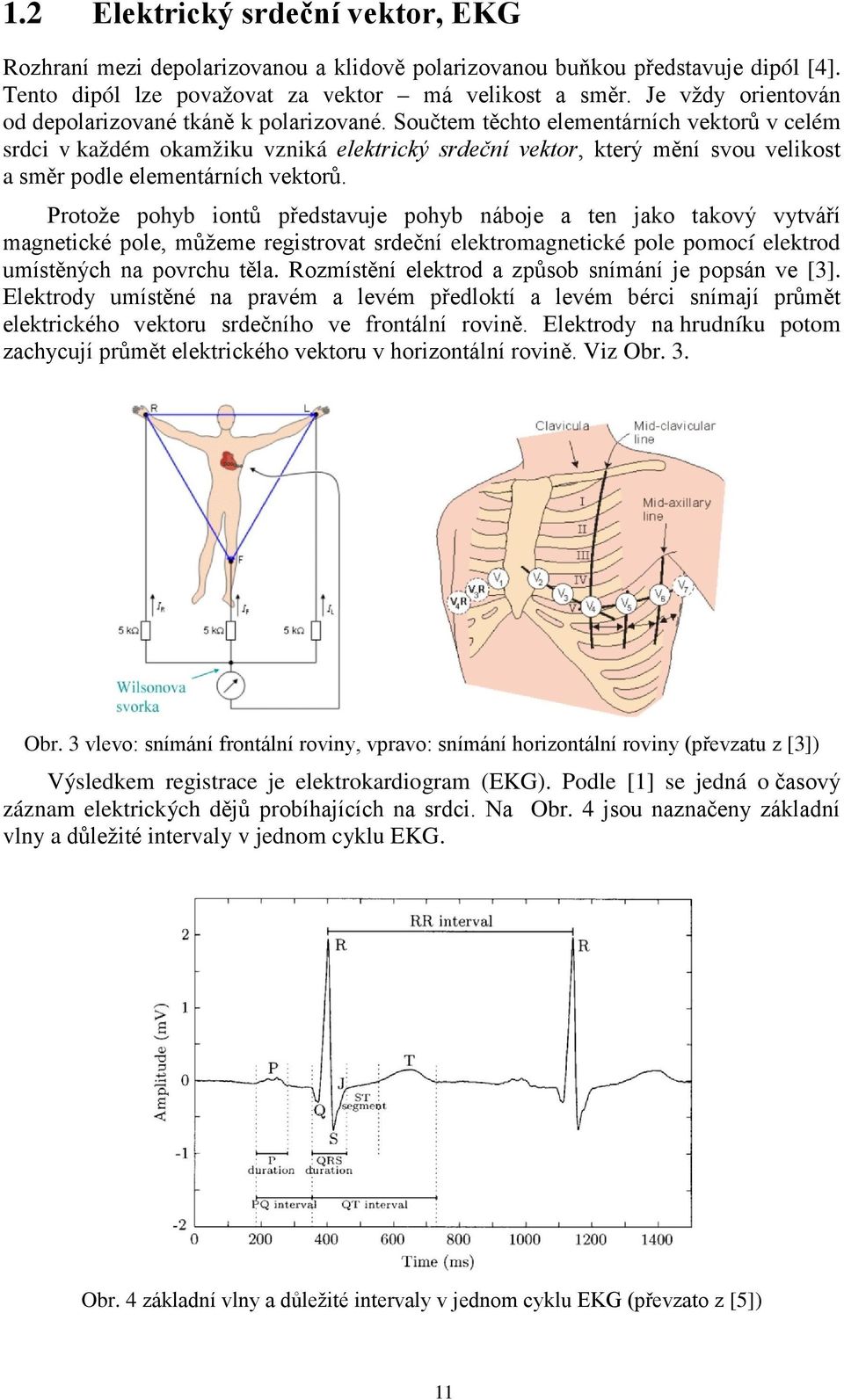 Součtem těchto elementárních vektorů v celém srdci v každém okamžiku vzniká elektrický srdeční vektor, který mění svou velikost a směr podle elementárních vektorů.