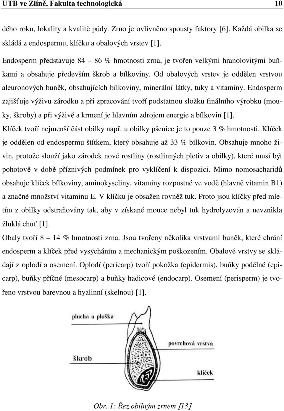 Od obalových vrstev je oddělen vrstvou aleuronových buněk, obsahujících bílkoviny, minerální látky, tuky a vitamíny.