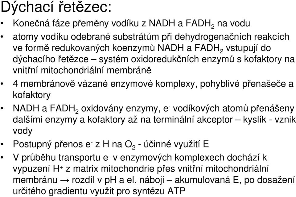 enzymy, e - vodíkových atomů přenášeny dalšími enzymy a kofaktory až na terminální akceptor kyslík - vznik vody Postupný přenos e - z H na O 2 - účinné využití E V průběhu transportu e - v