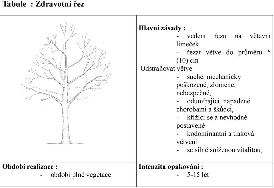 napadené chorobami a škůdci, - křížící se a nevhodně postavené - kodominantní a tlaková větvení -