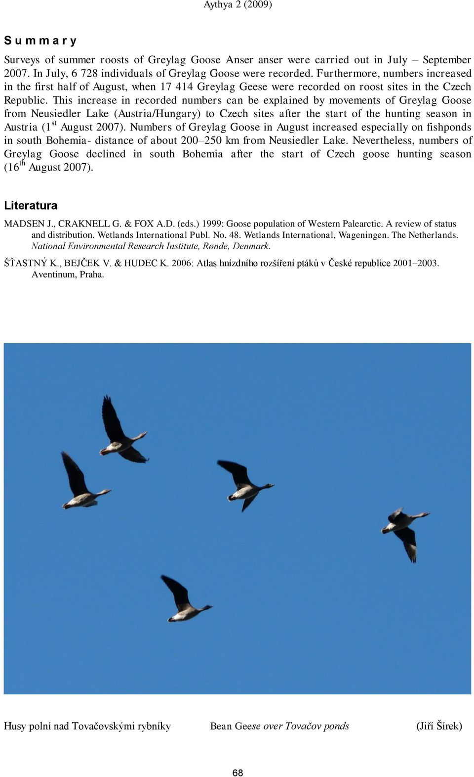 This increase in recorded numbers can be explained by movements of Greylag Goose from Neusiedler Lake (Austria/Hungary) to Czech sites after the start of the hunting season in Austria (1 st August