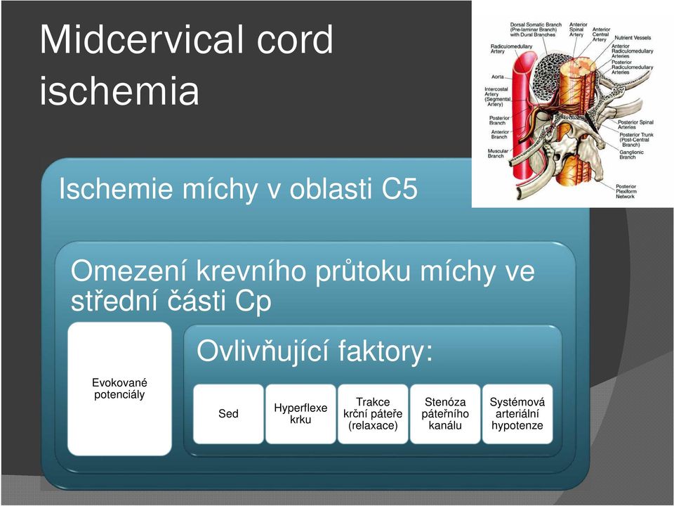 Ovlivňující faktory: Sed Hyperflexe krku Trakce krční páteře