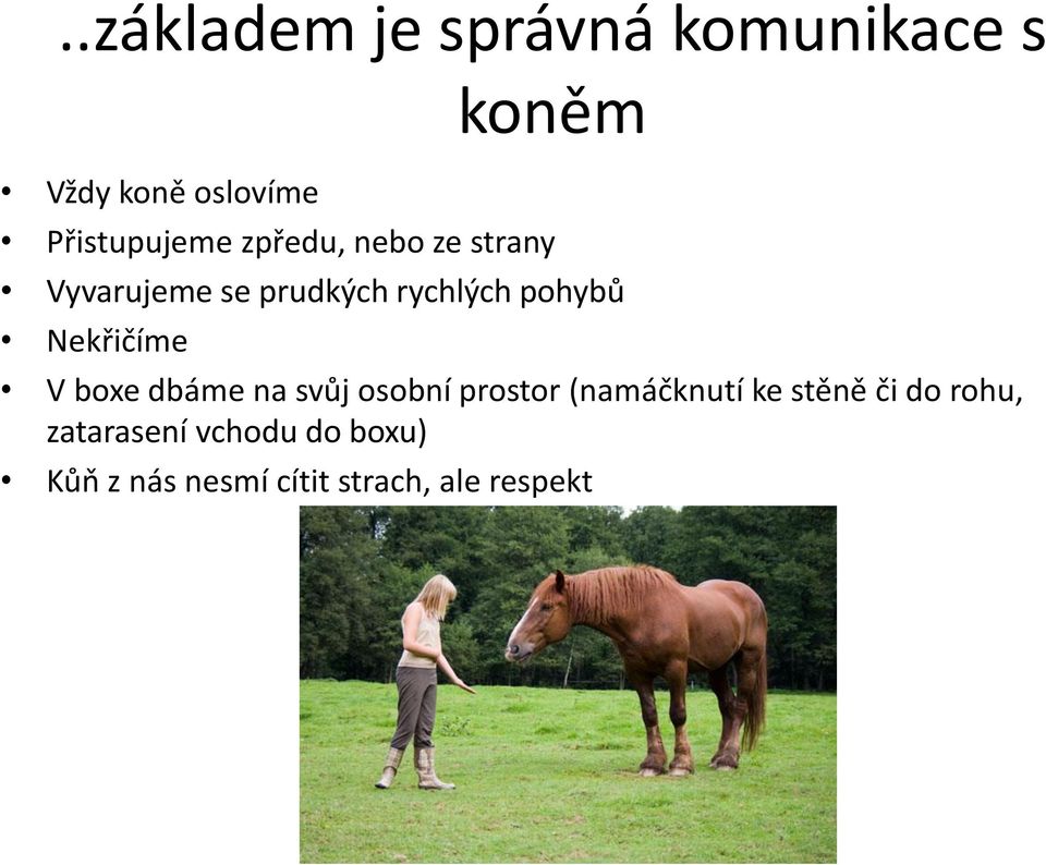 pohybů Nekřičíme V boxe dbáme na svůj osobní prostor (namáčknutí ke