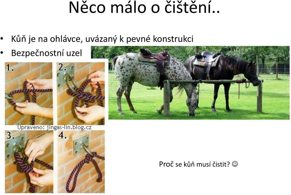 uvázaný k pevné konstrukci