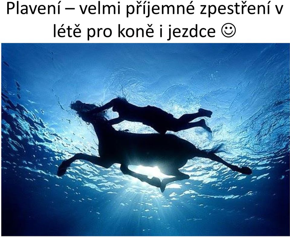 zpestření v