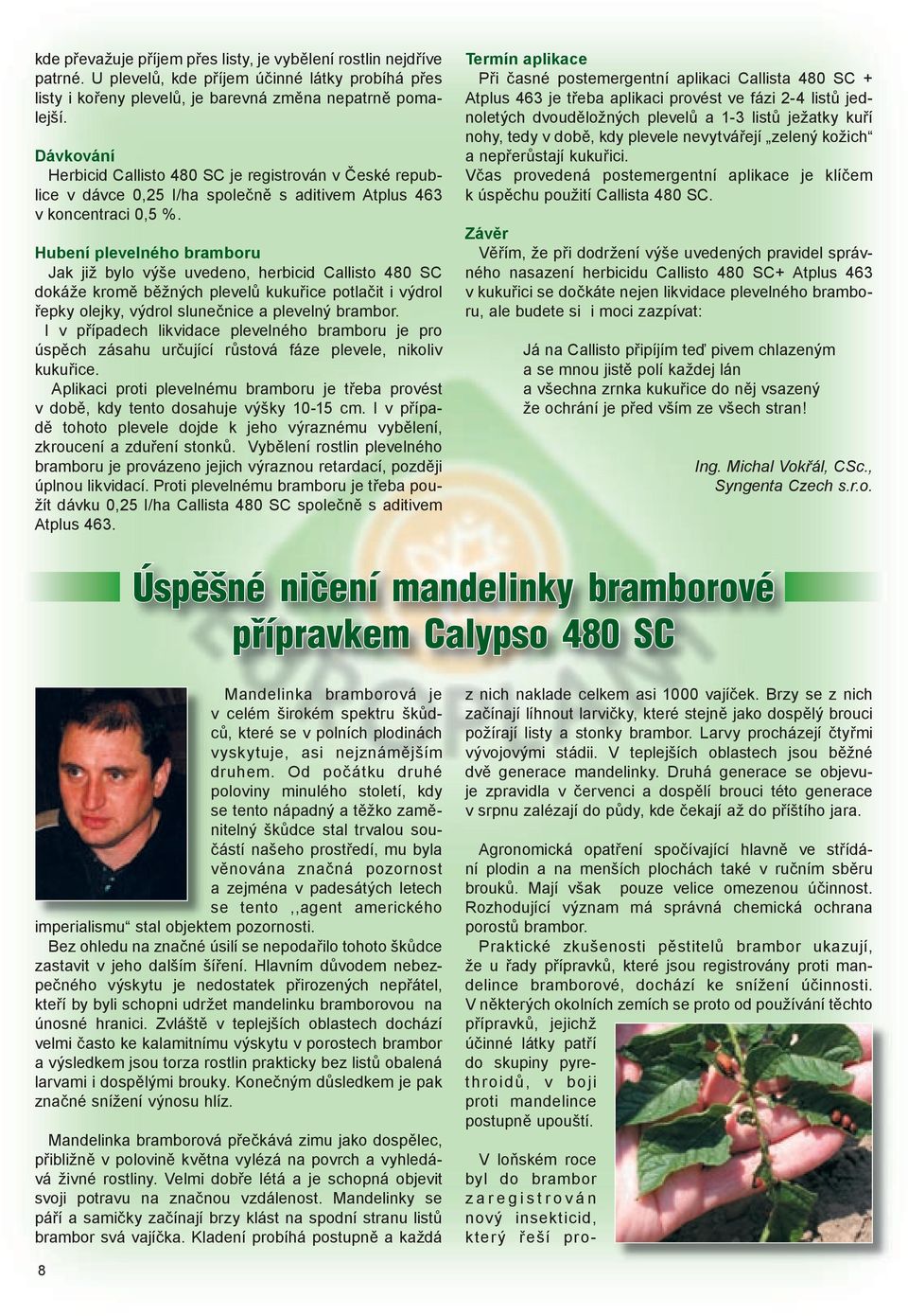 Hubení plevelného bramboru Jak již bylo výše uvedeno, herbicid Callisto 480 SC dokáže kromě běžných plevelů kukuřice potlačit i výdrol řepky olejky, výdrol slunečnice a plevelný brambor.