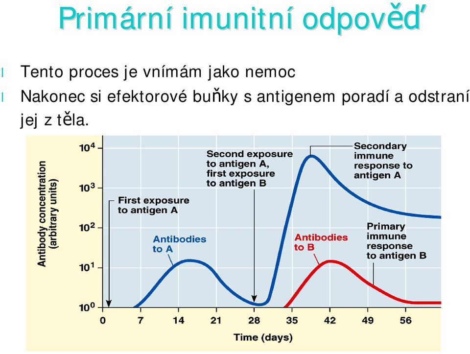 Nakonec si efektorové bu ky s