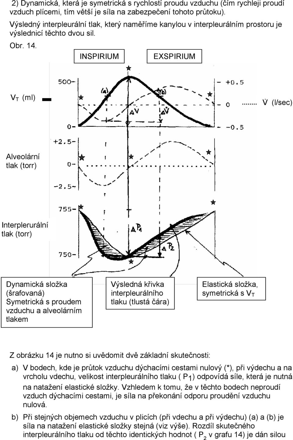 INSPIRIUM EXSPIRIUM V T (ml) V (l/sec) Alveolární tlak (torr) Interplerurální tlak (torr) Dynamická složka (šrafovaná) Symetrická s proudem vzduchu a alveolárním tlakem Výsledná křivka