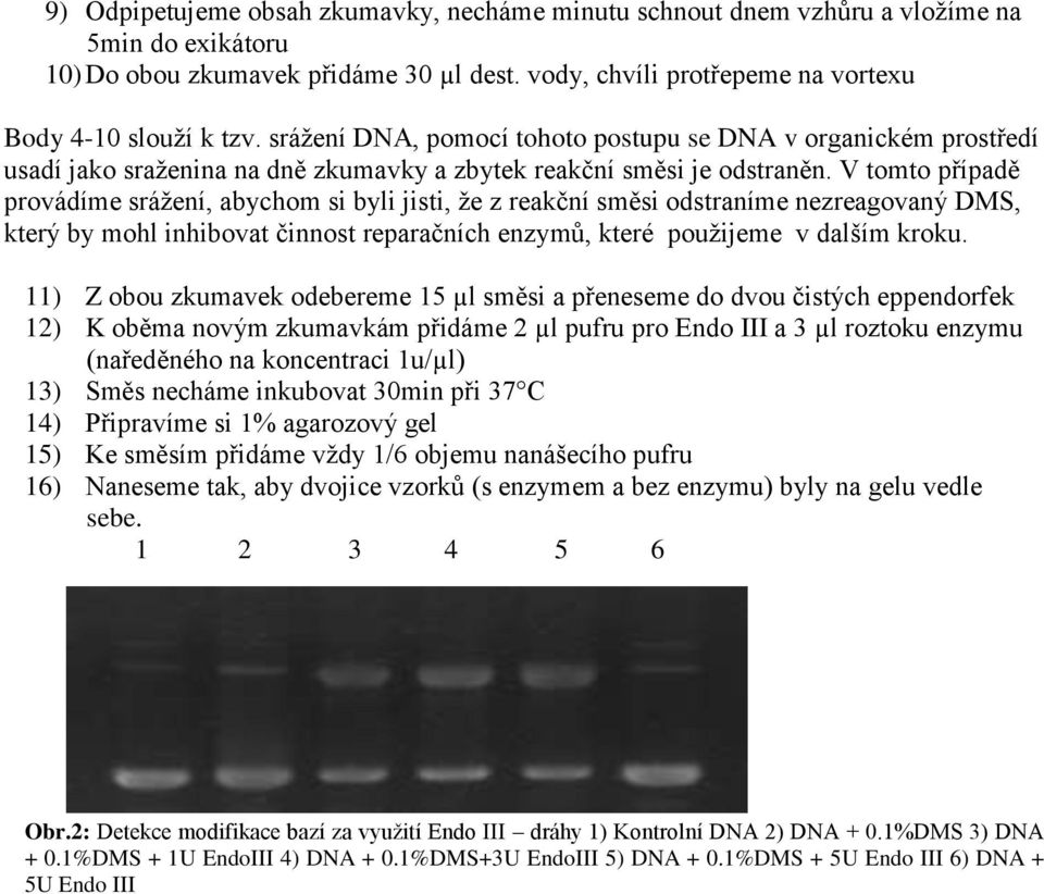 V tomto případě provádíme srážení, abychom si byli jisti, že z reakční směsi odstraníme nezreagovaný DMS, který by mohl inhibovat činnost reparačních enzymů, které použijeme v dalším kroku.