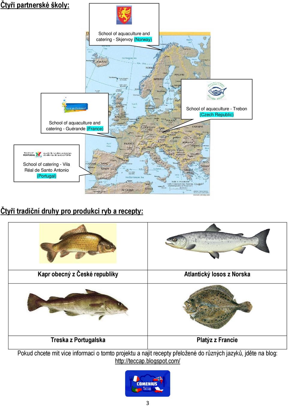 druhy pro produkci ryb a recepty: Kapr obecný z České republiky Atlantický losos z Norska Treska z Portugalska Platýz z Francie