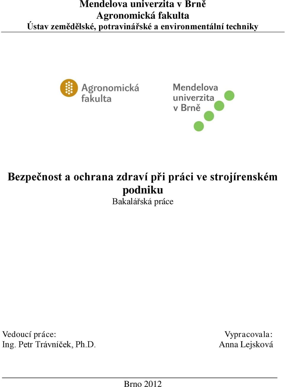 zdraví při práci ve strojírenském podniku Bakalářská práce Vedoucí