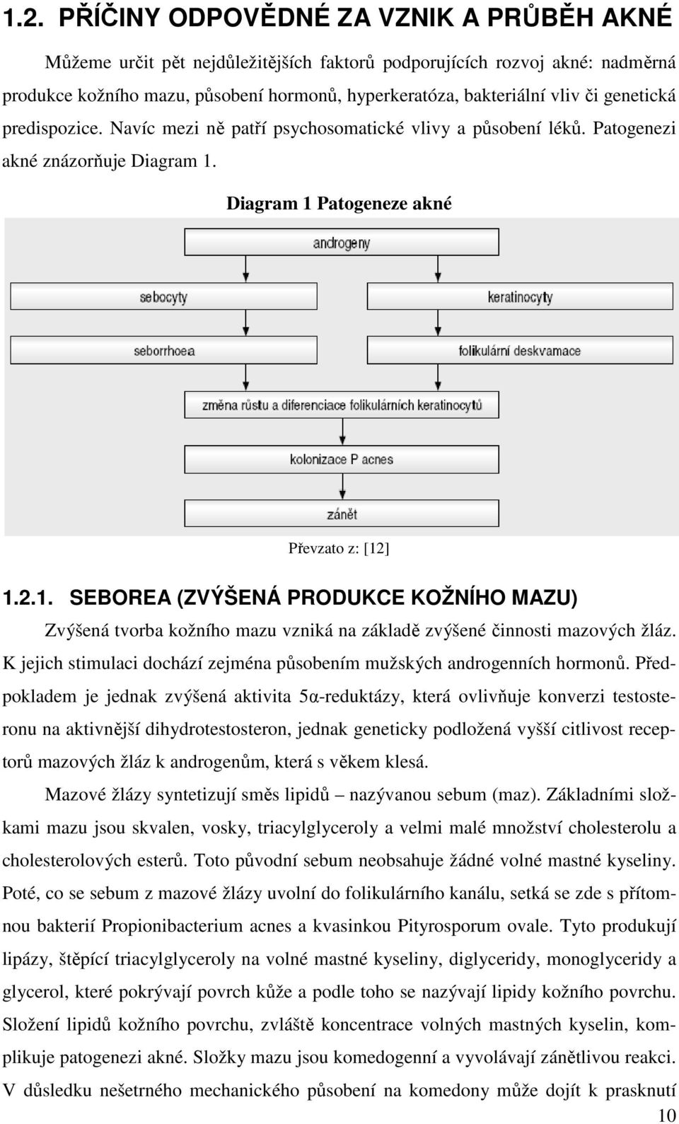 Diagram 1 Patogeneze akné Převzato z: [12] 1.2.1. SEBOREA (ZVÝŠENÁ PRODUKCE KOŽNÍHO MAZU) Zvýšená tvorba kožního mazu vzniká na základě zvýšené činnosti mazových žláz.