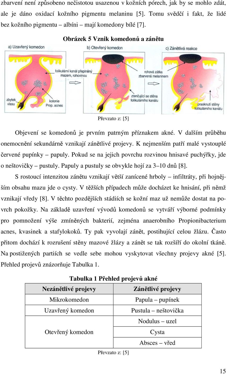 V dalším průběhu onemocnění sekundárně vznikají zánětlivé projevy. K nejmenším patří malé vystouplé červené pupínky papuly.