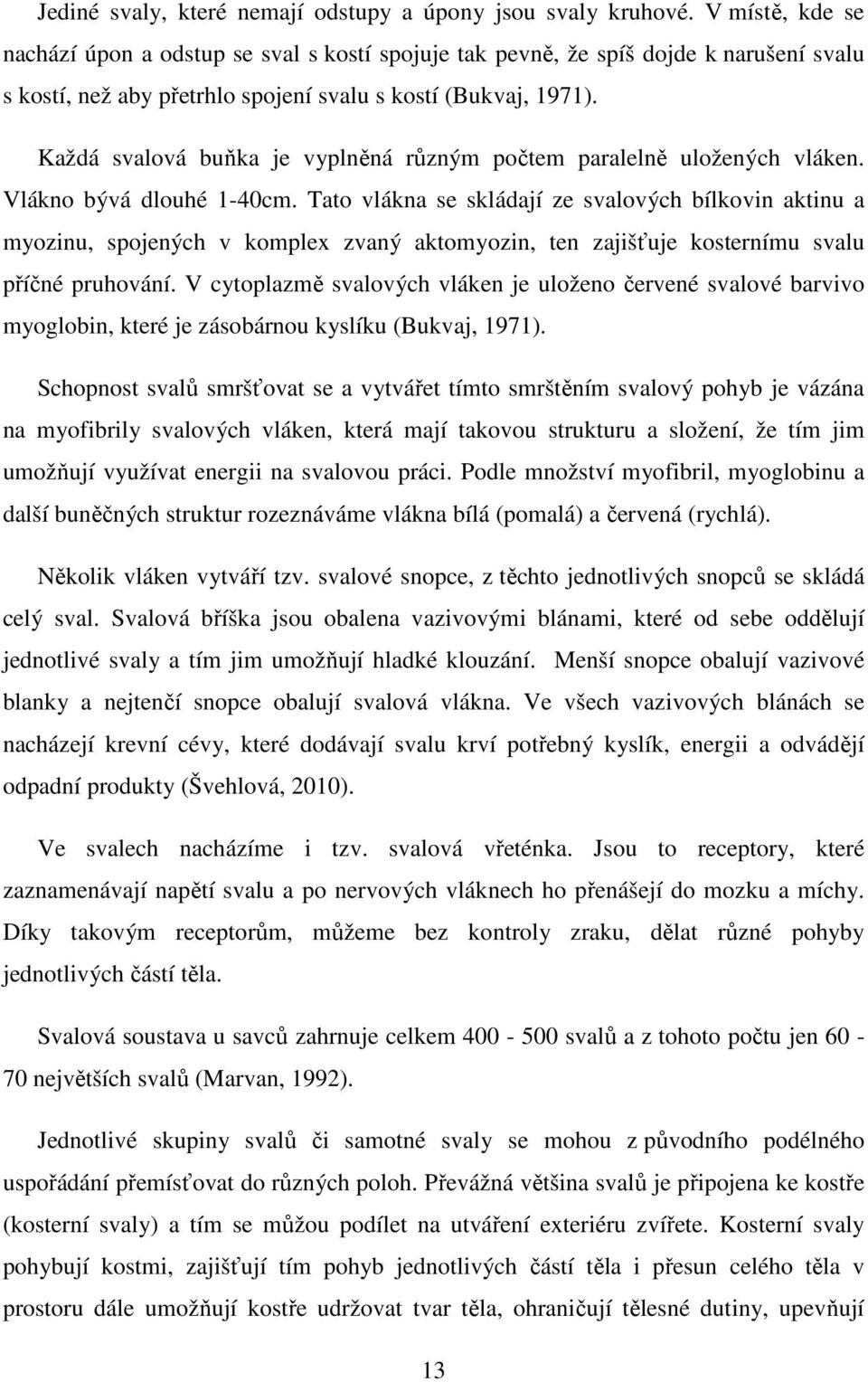 Každá svalová buňka je vyplněná různým počtem paralelně uložených vláken. Vlákno bývá dlouhé 1-40cm.