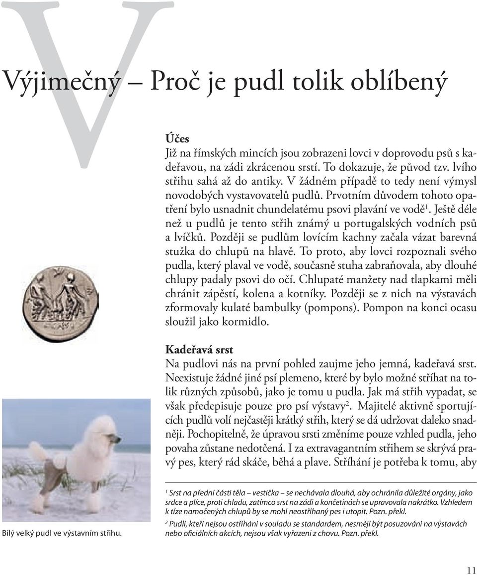 Ještě déle než u pudlů je tento střih známý u portugalských vodních psů a lvíčků. Později se pudlům lovícím kachny začala vázat barevná stužka do chlupů na hlavě.