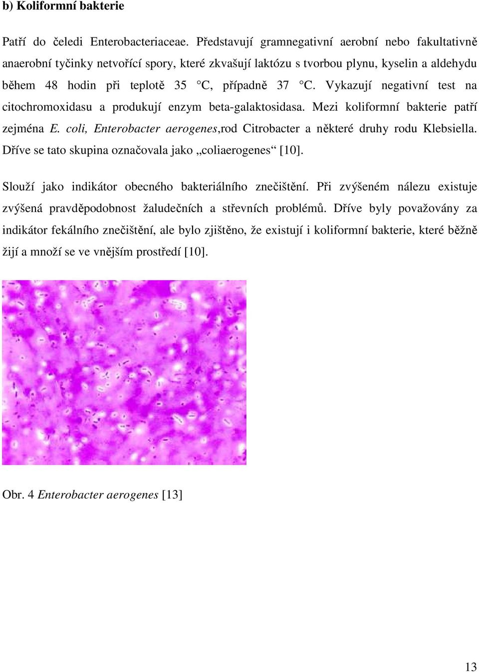 Vykazují negativní test na citochromoxidasu a produkují enzym beta-galaktosidasa. Mezi koliformní bakterie patří zejména E.