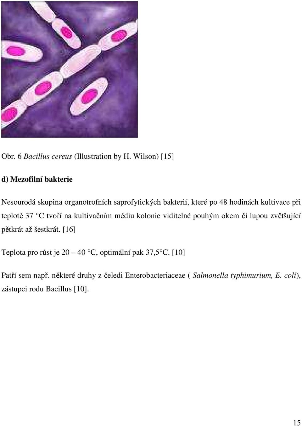 kultivace při teplotě 37 C tvoří na kultivačním médiu kolonie viditelné pouhým okem či lupou zvětšující pětkrát až