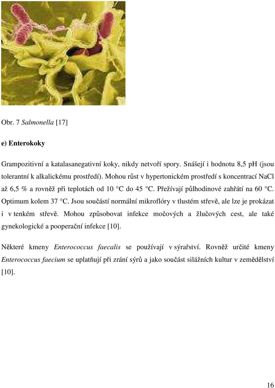 Jsou součástí normální mikroflóry v tlustém střevě, ale lze je prokázat i v tenkém střevě.