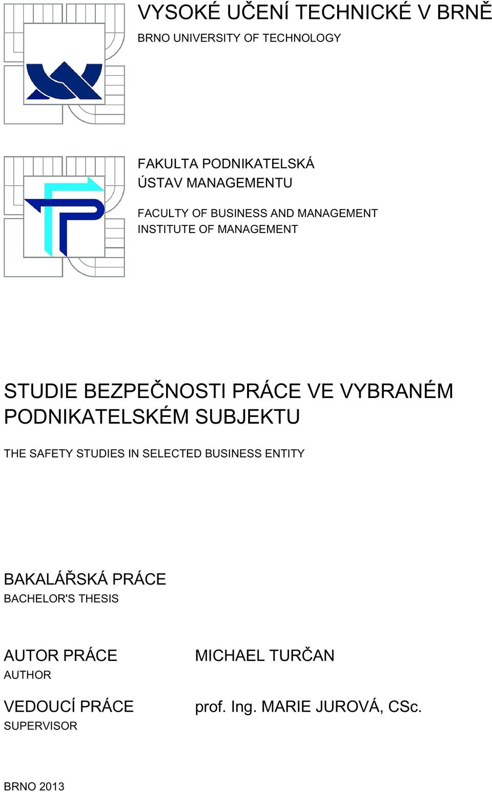 PODNIKATELSKÉM SUBJEKTU THE SAFETY STUDIES IN SELECTED BUSINESS ENTITY BAKALÁŘSKÁ PRÁCE BACHELOR'S