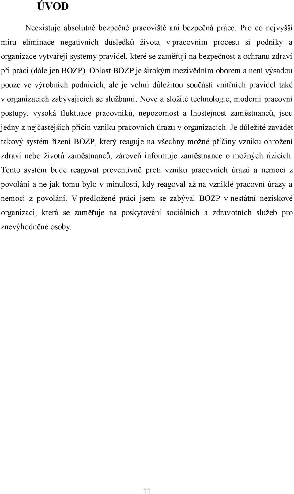 BOZP). Oblast BOZP je širokým mezivědním oborem a není výsadou pouze ve výrobních podnicích, ale je velmi důležitou součástí vnitřních pravidel také v organizacích zabývajících se službami.