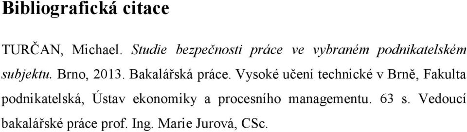 Brno, 2013. Bakalářská práce.