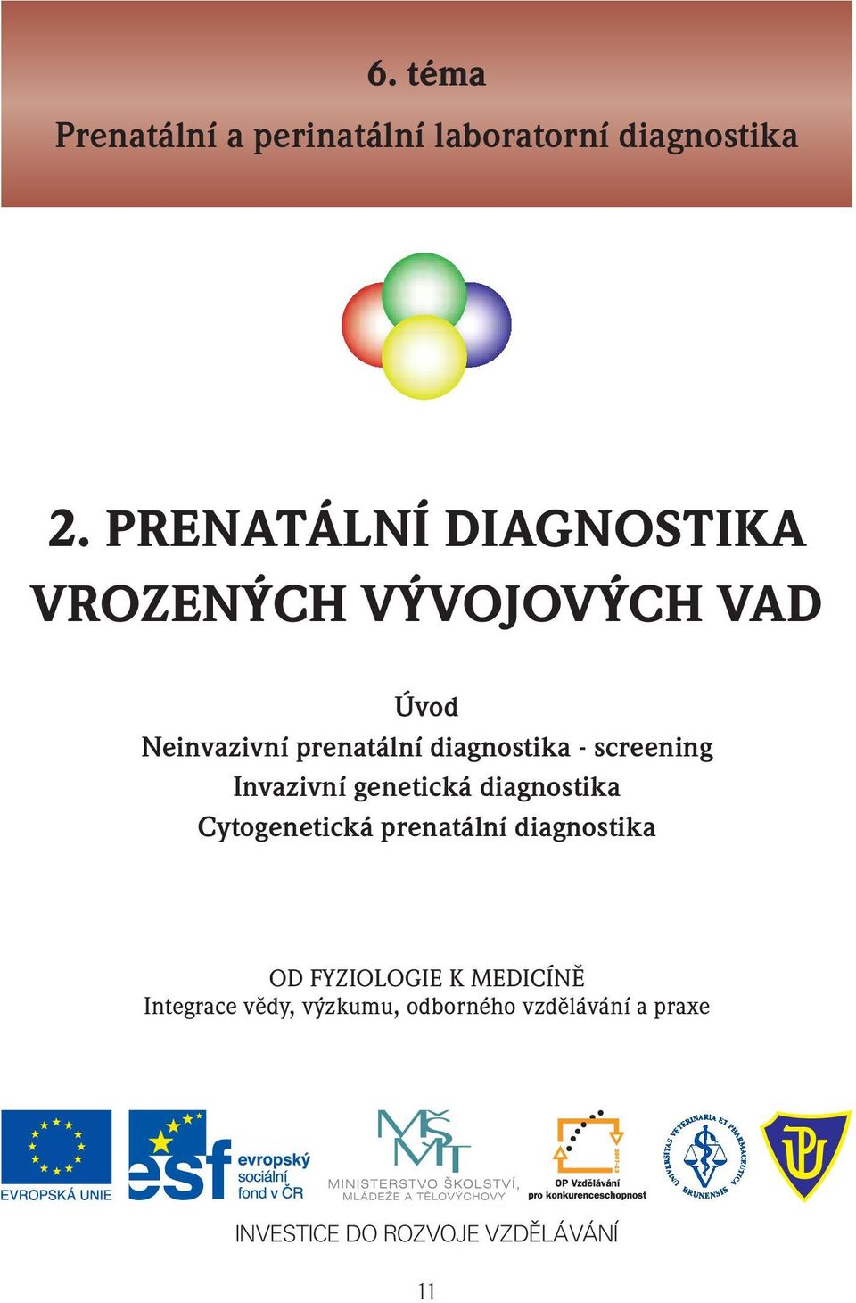 diagnostika - screening Invazivní genetická diagnostika Cytogenetická prenatální