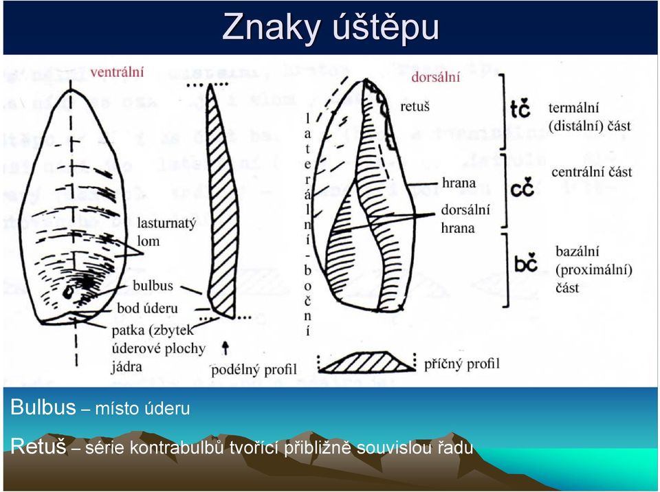 série kontrabulbů