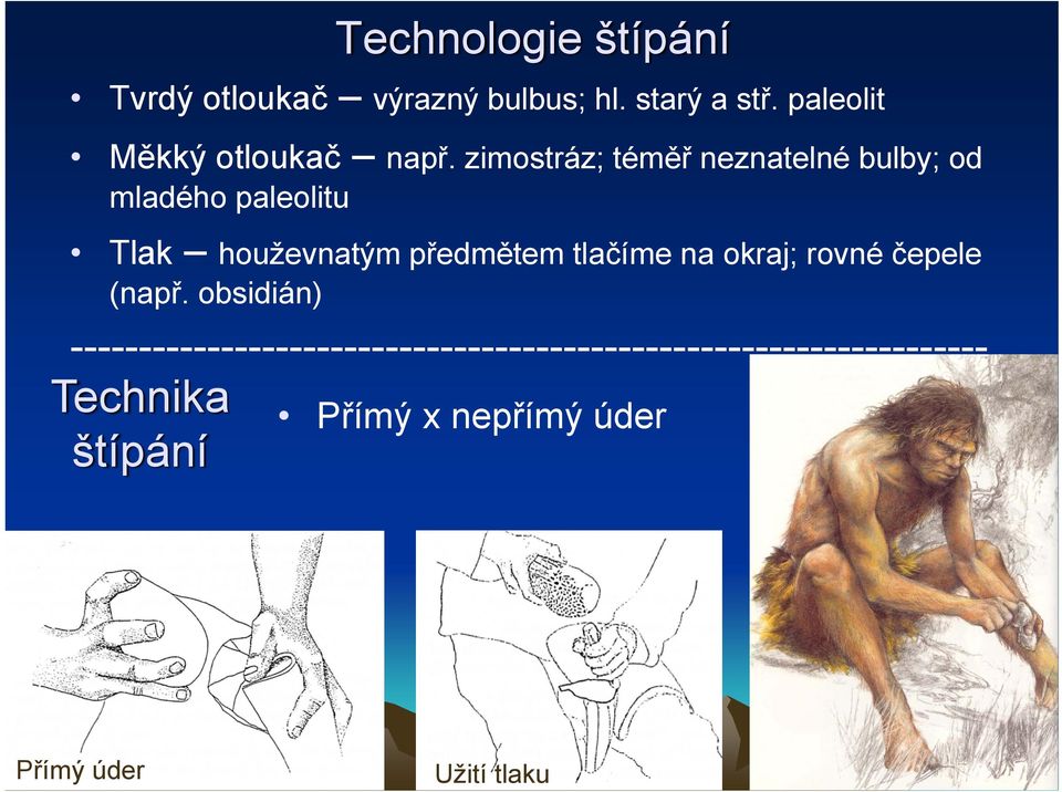 zimostráz; téměř neznatelné bulby; od mladého paleolitu Tlak houževnatým předmětem