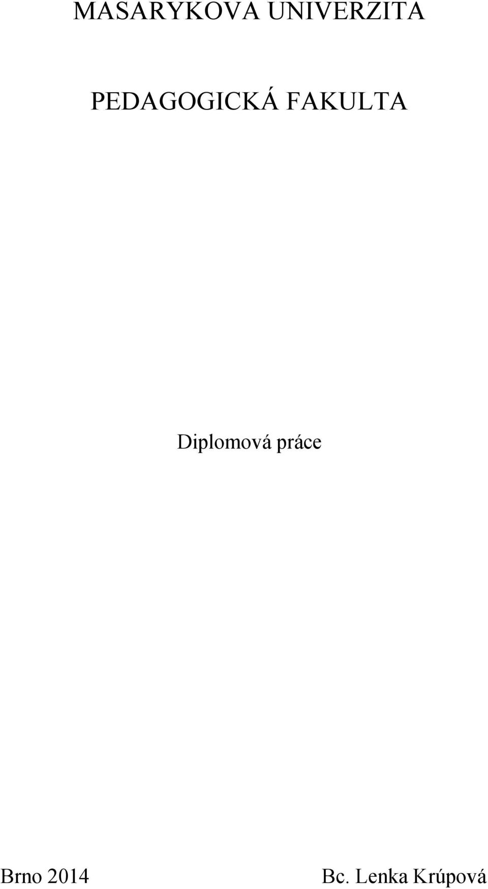 Diplomová práce Brno