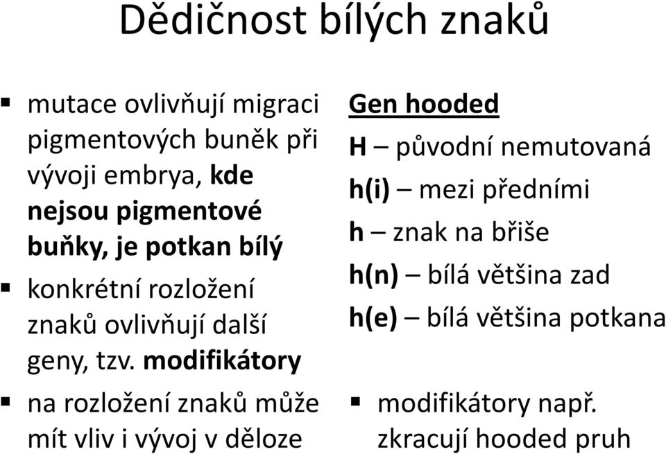 modifikátory na rozložení znaků může mít vliv i vývoj v děloze Gen hooded H původní nemutovaná h(i)