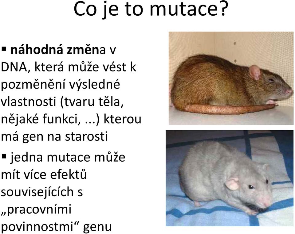 výsledné vlastnosti (tvaru těla, nějaké funkci,.