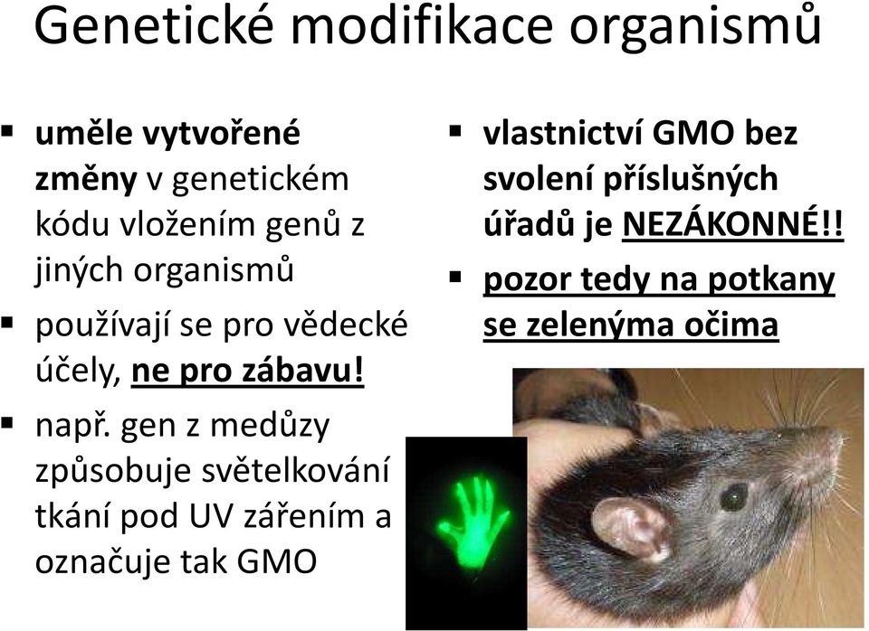 gen z medůzy způsobuje světelkování tkání pod UV zářením a označuje tak GMO