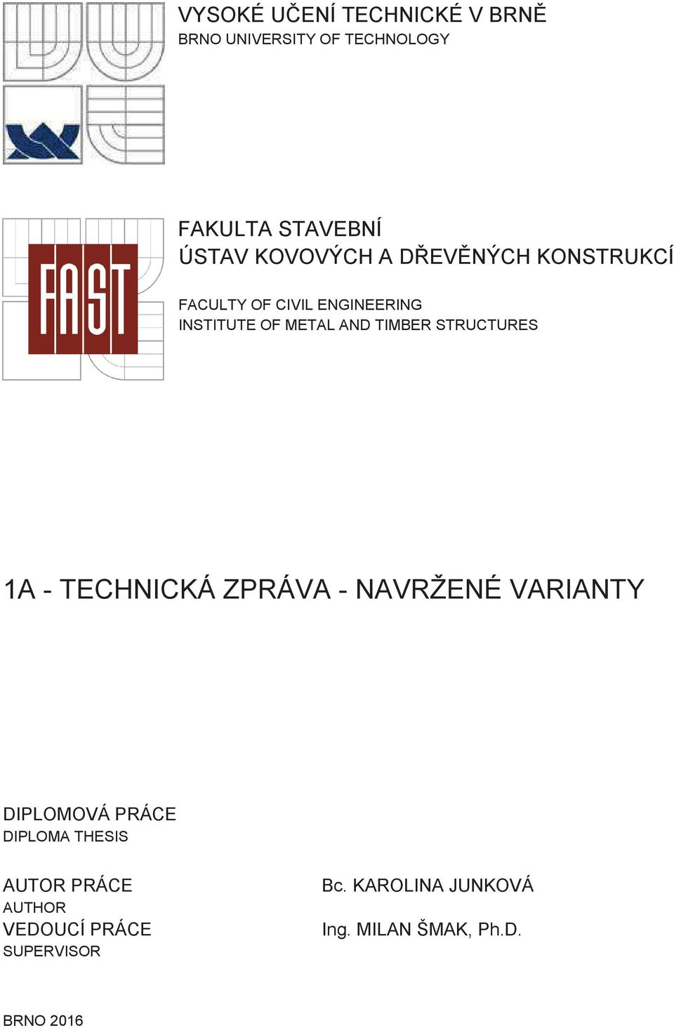 TIMBER STRUCTURES 1A - TECHNICKÁ ZPRÁVA - NAVRŽENÉ VARIANTY DIPLOMOVÁ PRÁCE DIPLOMA