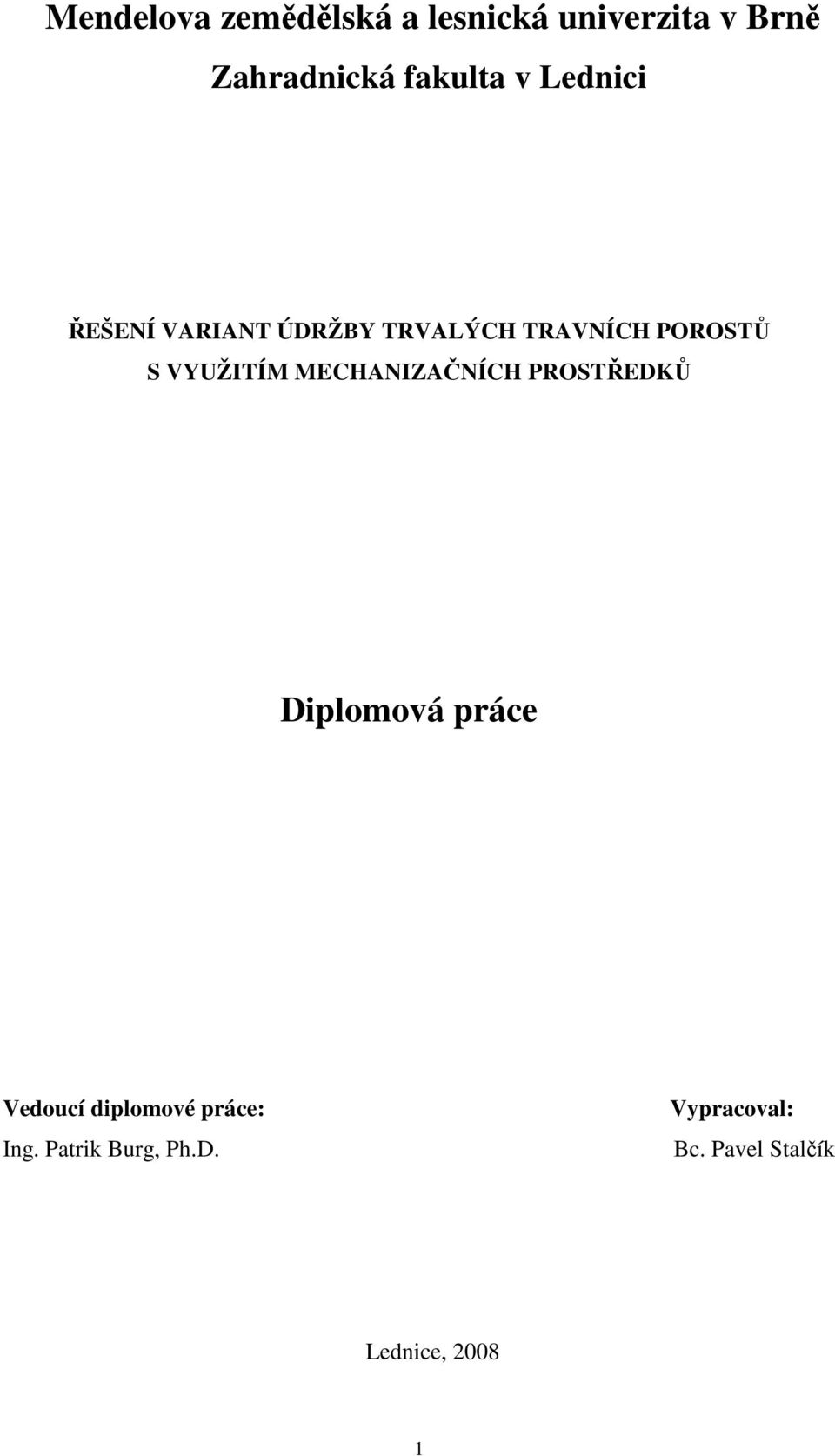 VYUŽITÍM MECHANIZAČNÍCH PROSTŘEDKŮ Diplomová práce Vedoucí diplomové