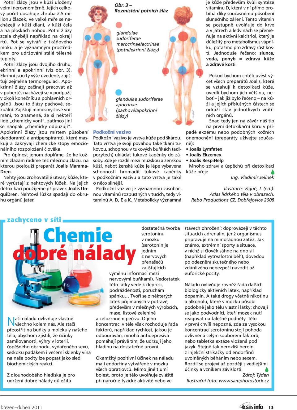 Potní žlázy jsou dvojího druhu, ekrinní a apokrinní (viz obr. 3). Ekrinní jsou ty výše uvedené, zajišťují zejména termoregulaci.