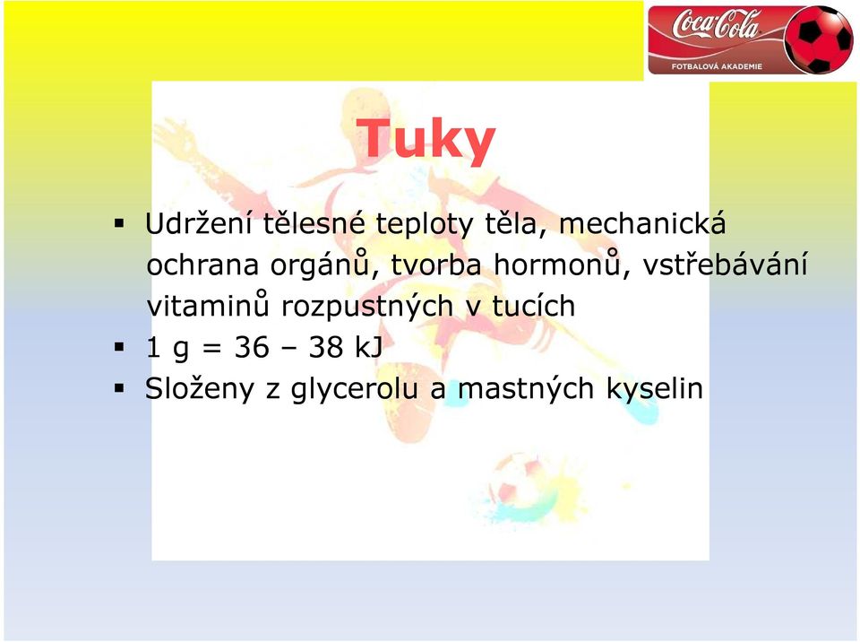 vstřebávání vitaminů rozpustných v tucích 1